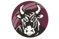 Queensland Bulls